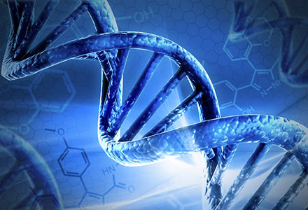division_basicscience division_basicscience